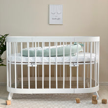 Load image into Gallery viewer, Waffle Cocoon Baby Nest Dino